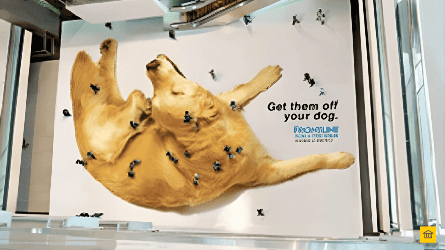 Organisation Transformation: 5 Do’s & Don’ts! Organisation Transformation: 5 Do’s & Don’ts!