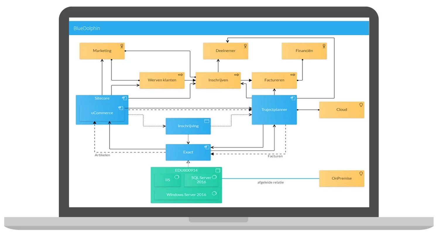 ValueBlue BlueDolphin platform logo - enterprise SaaS software for business transformation