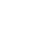 ANZ-Logo-white