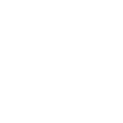 LG-Logo-white