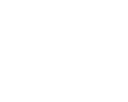 PWC-Logo-white
